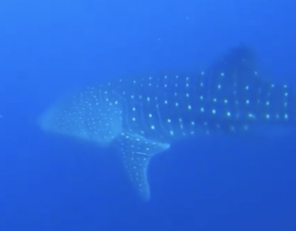 b823d8de-518a-4c91-963e-21dc8dc678b1