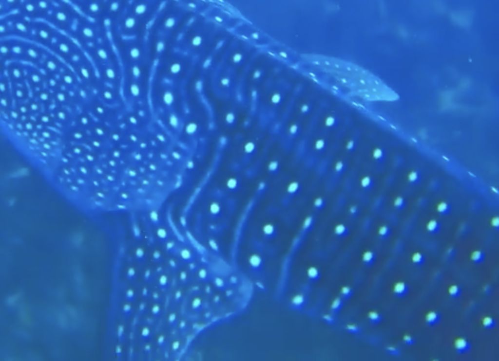 b823d8de-518a-4c91-963e-21dc8dc678b1