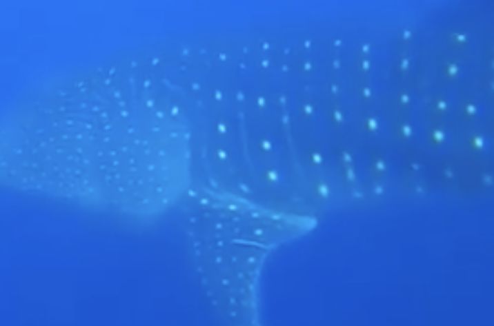 b823d8de-518a-4c91-963e-21dc8dc678b1