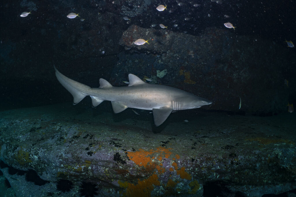 ed5442a3-3245-4d30-90c3-9478c40ab393