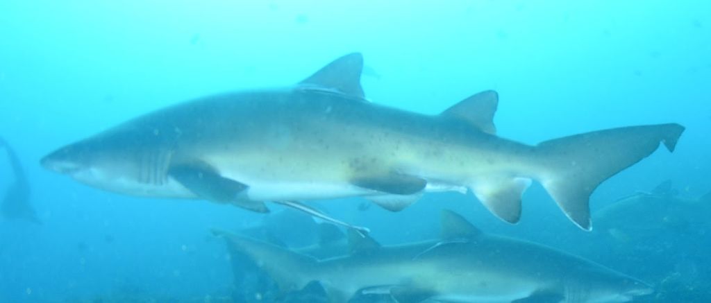 945cb0ce-8b22-498f-8ae8-9dae6002d2d4