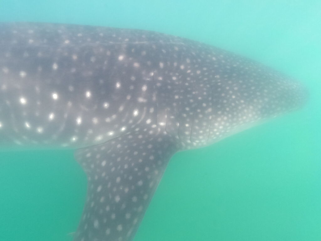 22b176ba-cc9d-48e9-8968-7fd4a7133c20