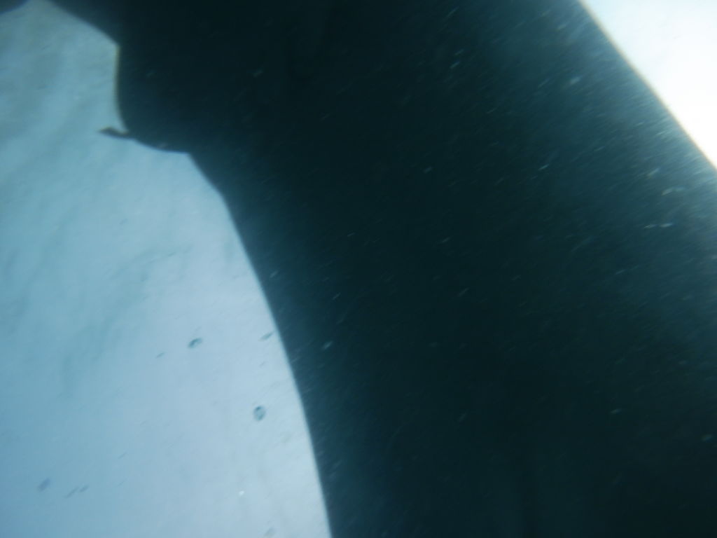 fcaabf24-a2a7-4444-9e38-f8c36368f3a8