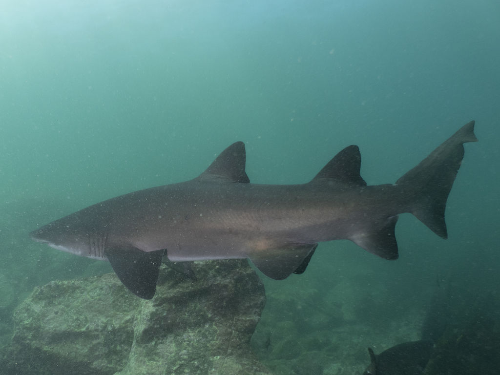 41025f08-4e6e-413e-aa47-b3ec115e7107