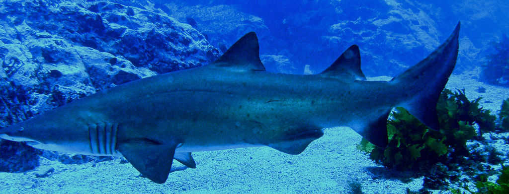 83555084-cbce-4fb1-8891-2995ae890ba3