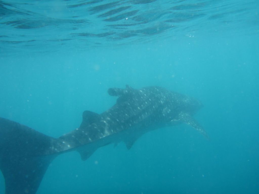 42bd18e0-c6de-4ba0-be07-632d99e56a46