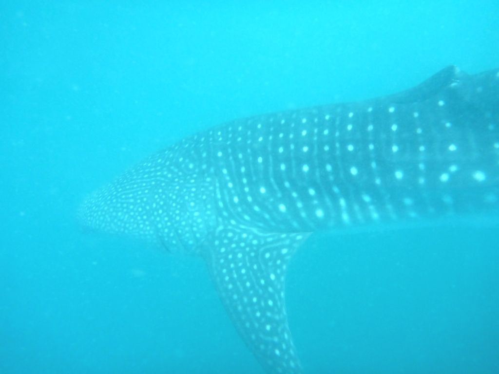 42bd18e0-c6de-4ba0-be07-632d99e56a46