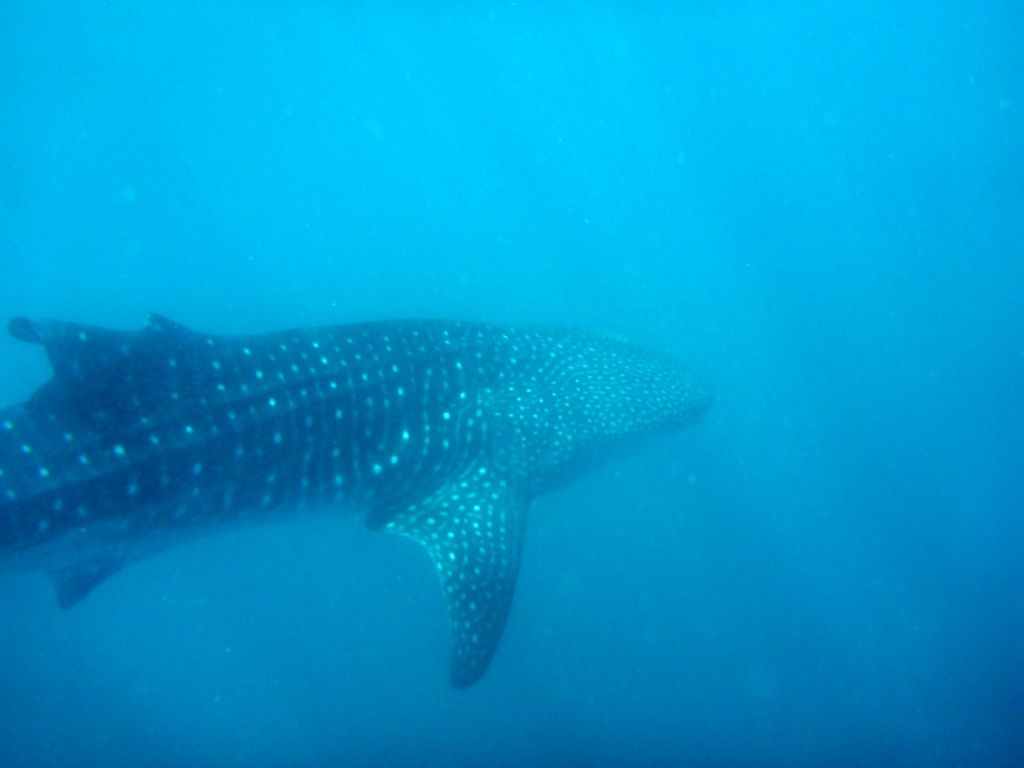 42bd18e0-c6de-4ba0-be07-632d99e56a46