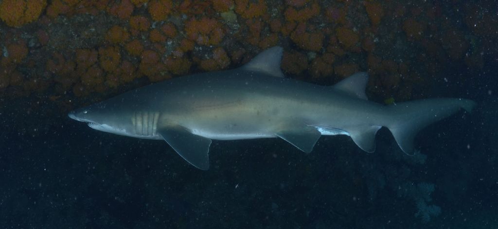 fca2e92b-7b30-48a2-bf1e-ad2acad1b846