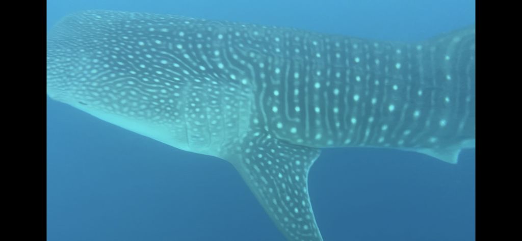 6a6bc5ec-dd3e-42cd-8ddb-e4eb04c1352f