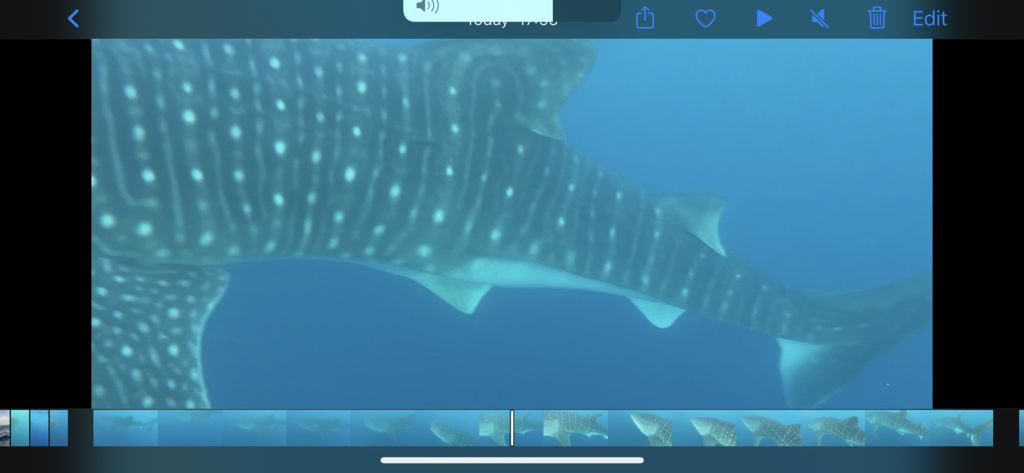 6a6bc5ec-dd3e-42cd-8ddb-e4eb04c1352f