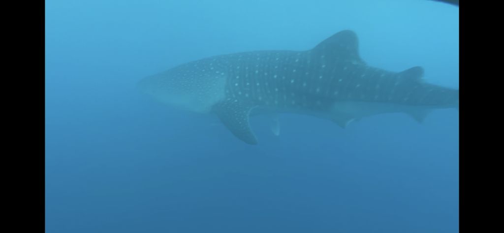 6a6bc5ec-dd3e-42cd-8ddb-e4eb04c1352f