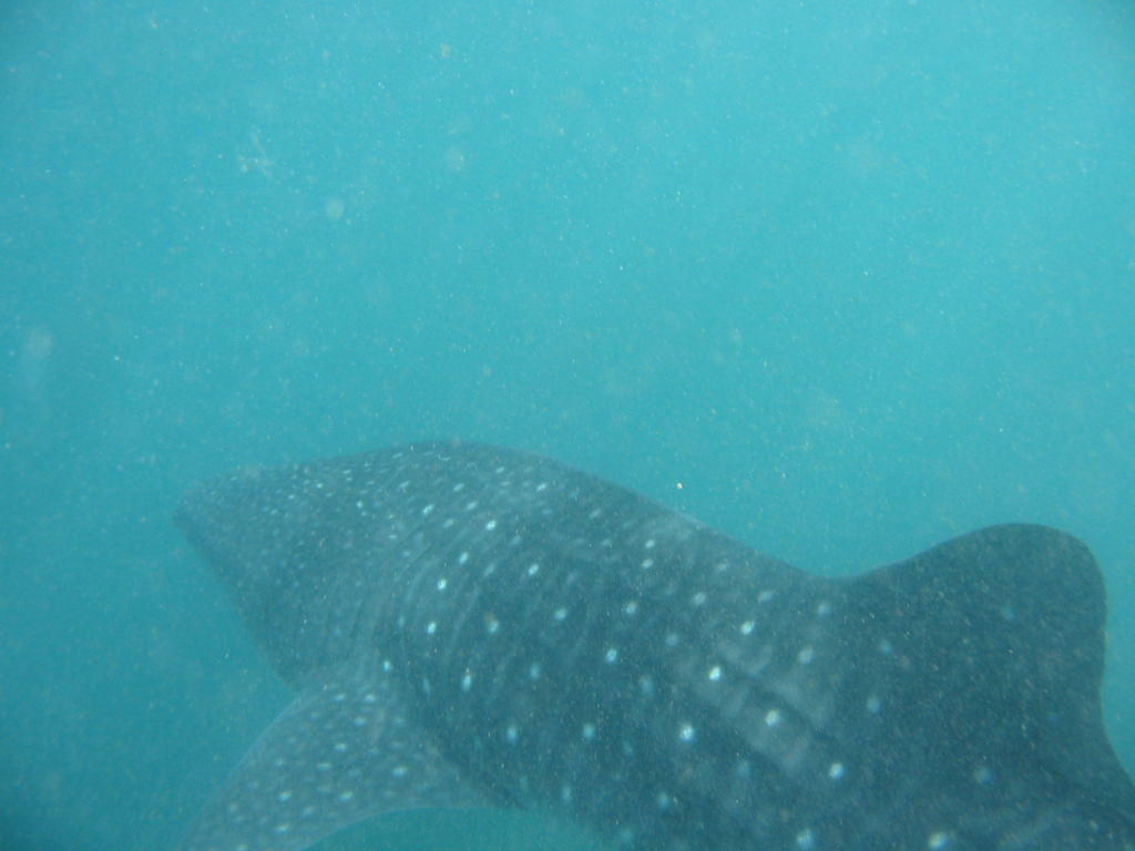 5547c05e-2c2d-4228-b28a-88c31dce8c5d