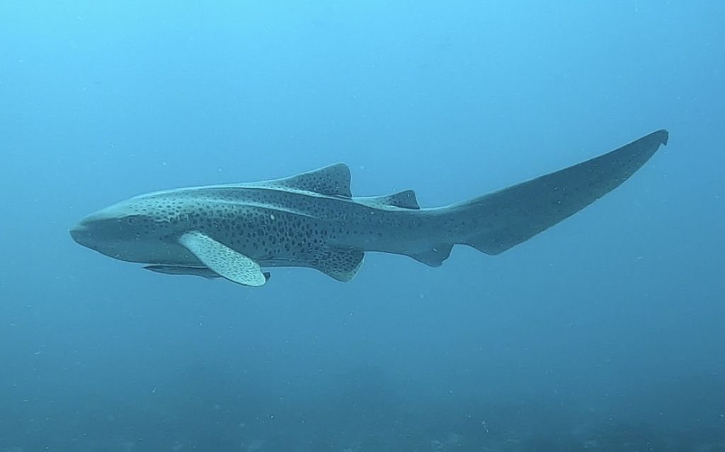 9c29fd8b-131f-457d-8f81-92044c46d85a