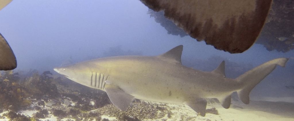 e43ce231-ca3c-45f0-a3d4-2f10d7c03205