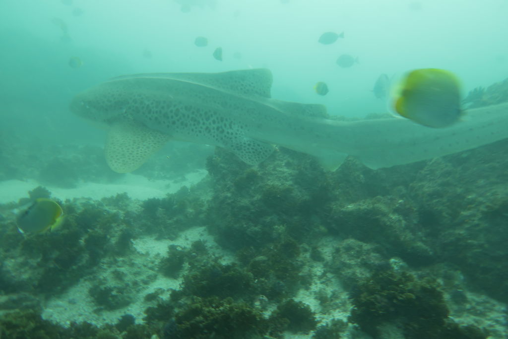 53338edd-3152-445d-b744-34728cdf7c38