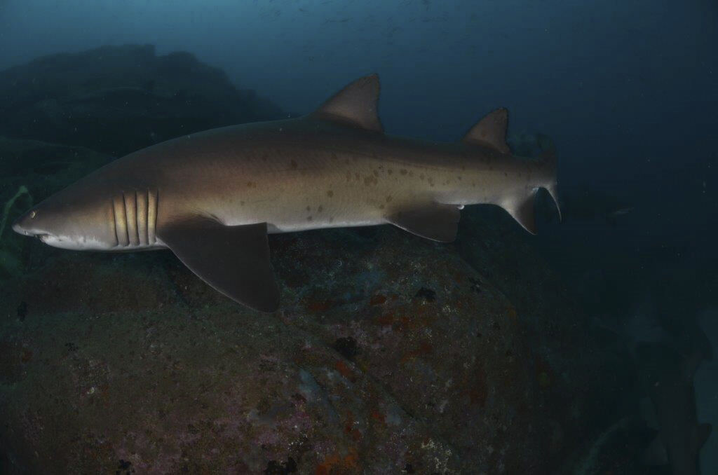 6f73f460-242f-4bb6-9761-47e7ccb85d9b