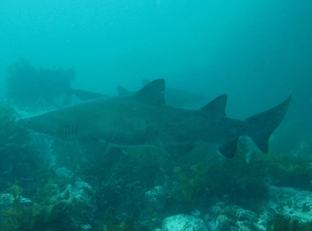 04c0b7e4-0600-4892-b545-8c6d292a8853