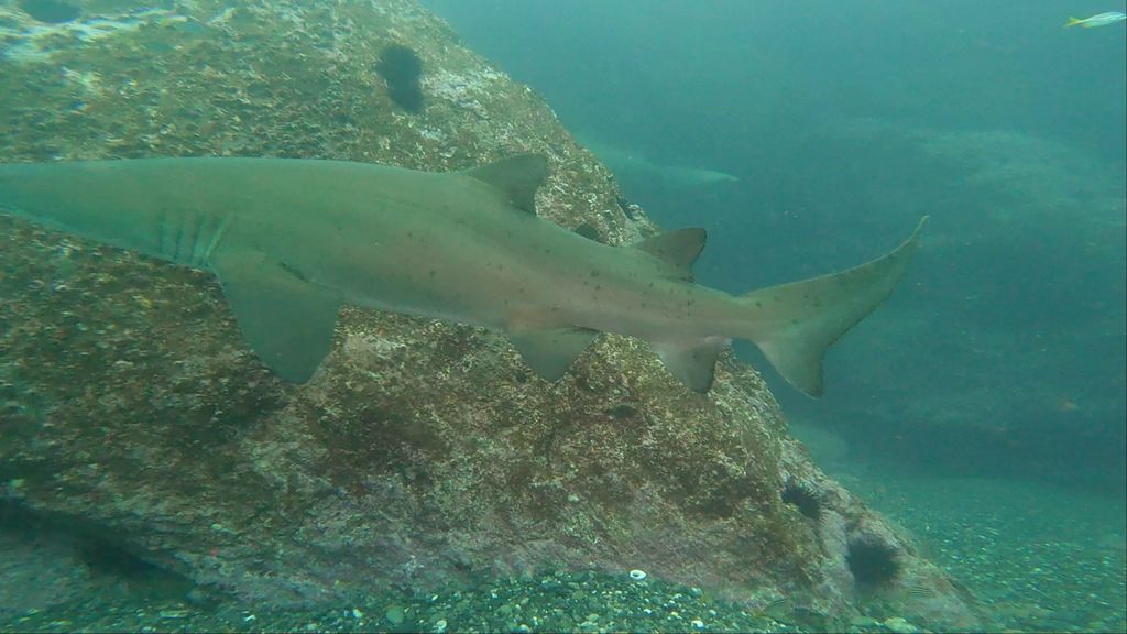 a2502274-c40b-46c3-a20f-5f0831e2192b