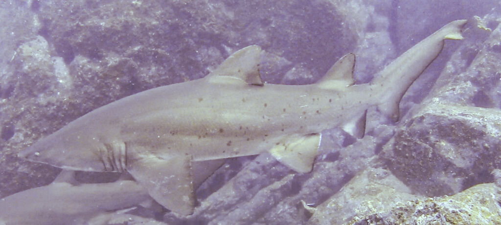 ab7b1a84-eb0d-4309-ae61-e492816235b2