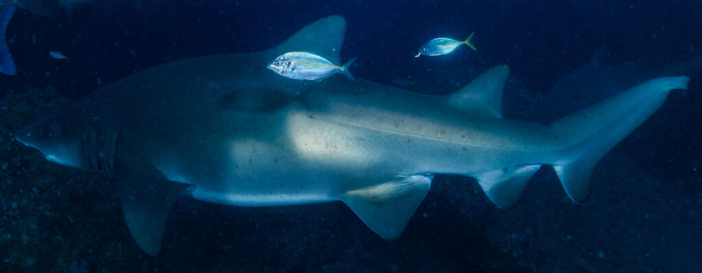 d507e349-738d-4965-8853-6170a59b2a9b