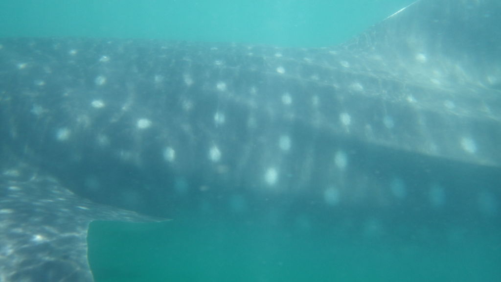 774a8aae-207f-495a-a8e9-c1f29d5a4bef