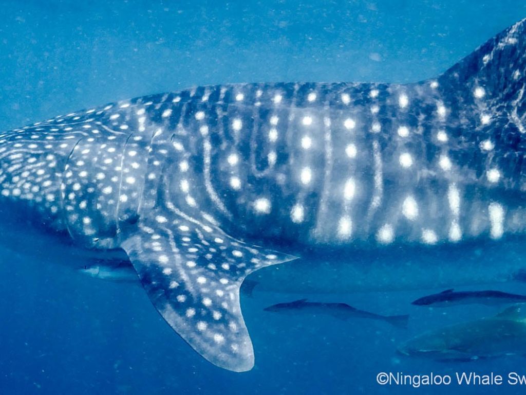 f58d86c7-9f77-4e2d-aa3c-8b5557fdb775