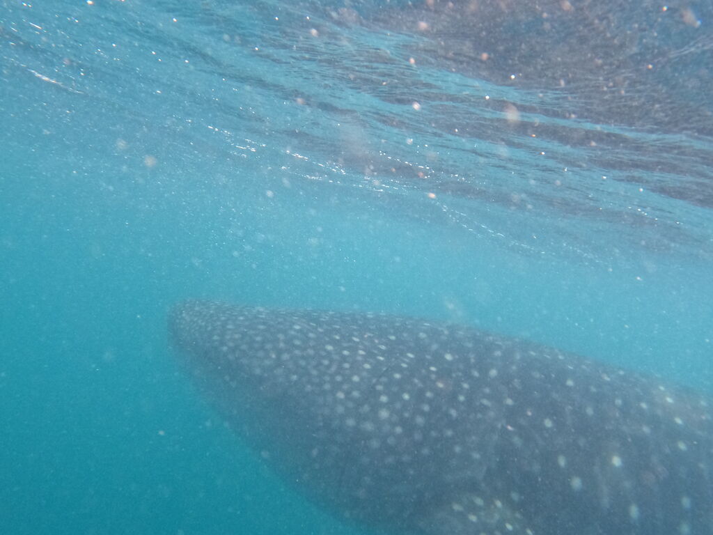 3db786ce-c652-47ee-b96c-b3dcbfb7d8aa