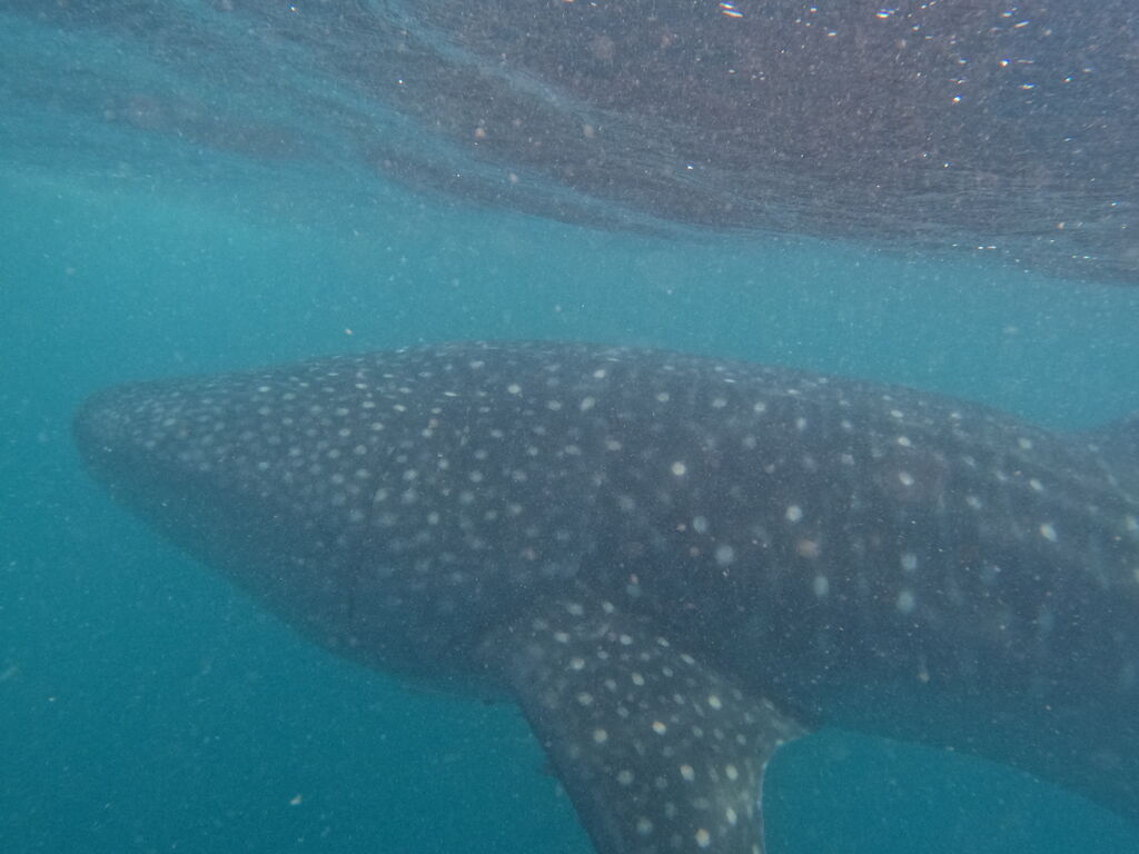 3db786ce-c652-47ee-b96c-b3dcbfb7d8aa