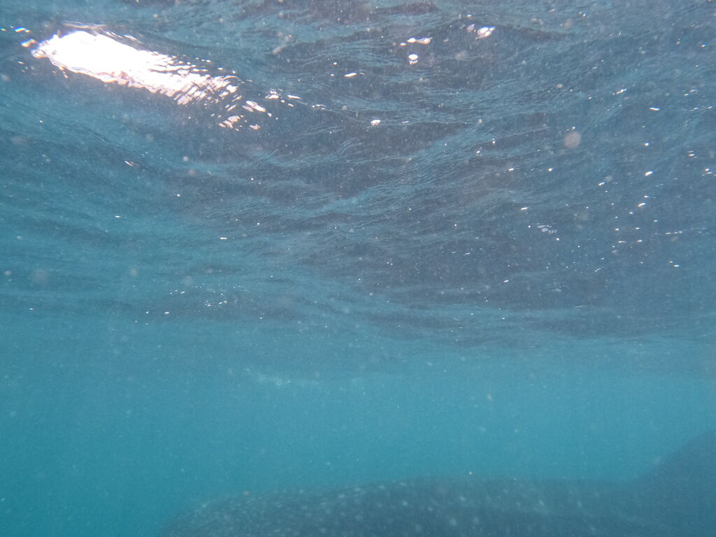 3db786ce-c652-47ee-b96c-b3dcbfb7d8aa