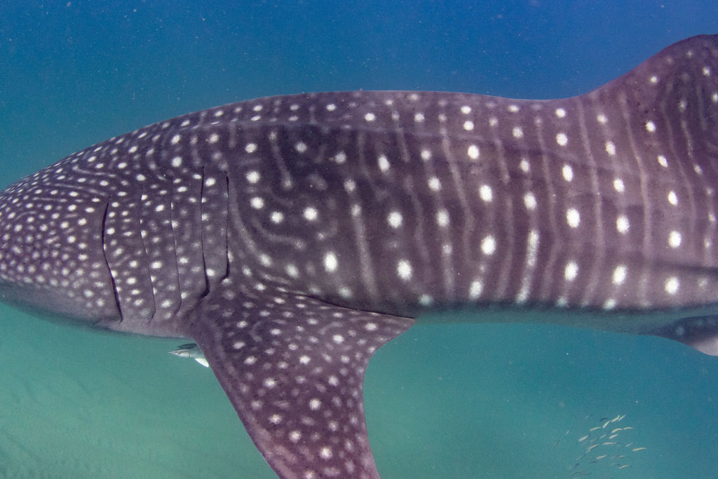 3e04c946-3ee6-4b6e-944e-86d1526c6aa1