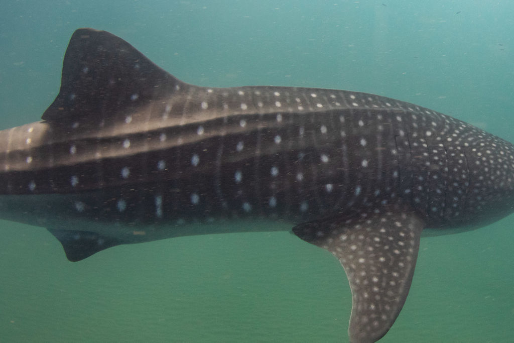 3e04c946-3ee6-4b6e-944e-86d1526c6aa1