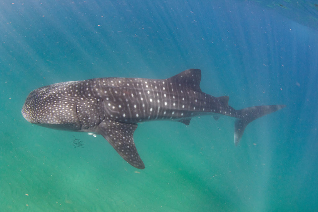 3e04c946-3ee6-4b6e-944e-86d1526c6aa1