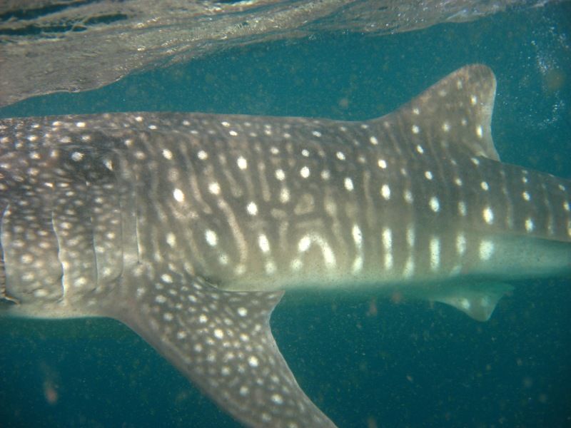 14c076d2-0319-4d73-87af-a7815b57d104