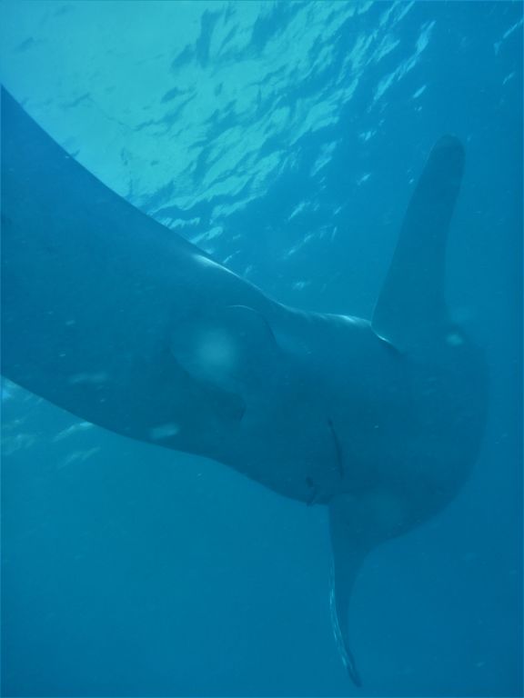 c628e463-9d34-4074-a5ea-7eb3ee073a69