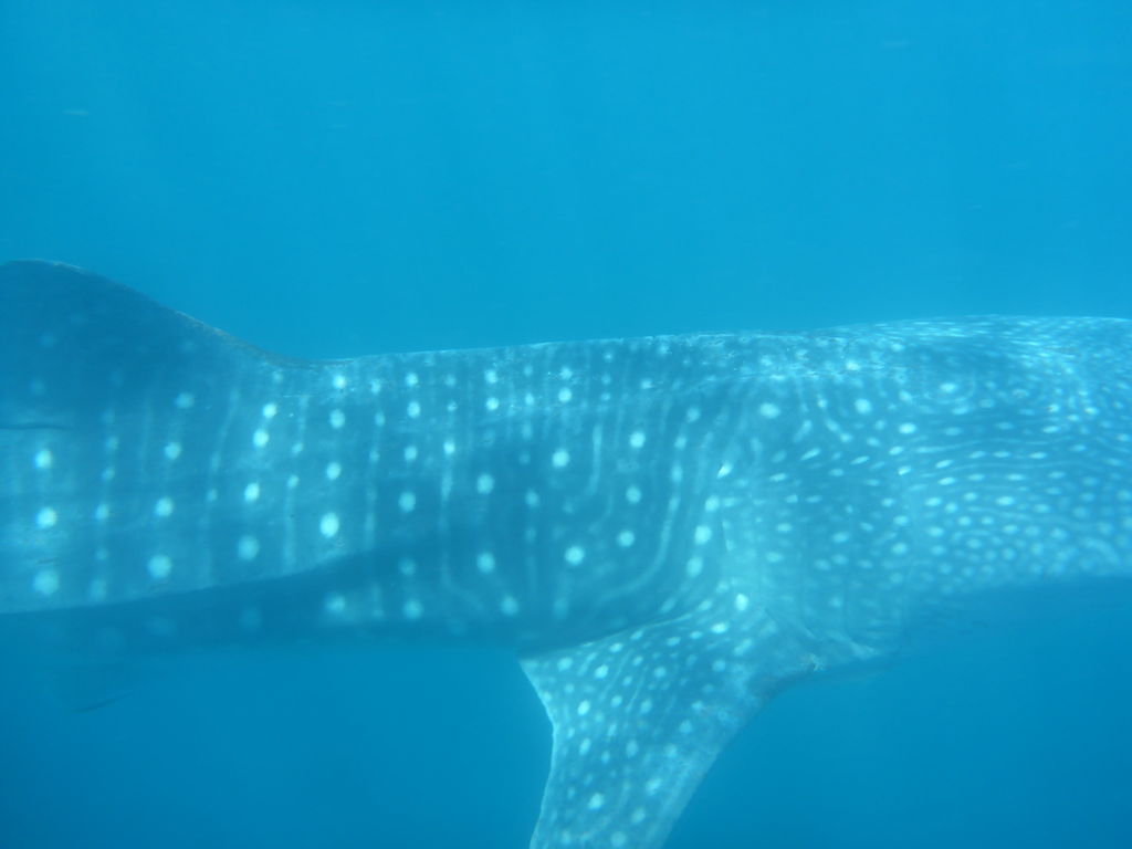 c628e463-9d34-4074-a5ea-7eb3ee073a69