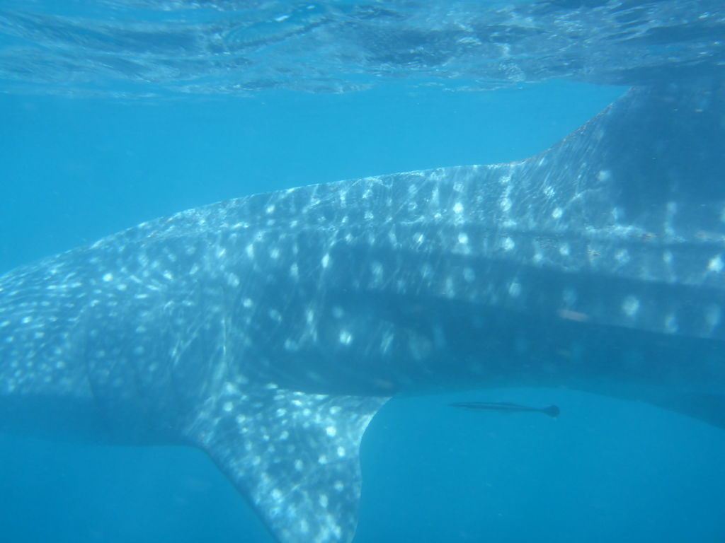 c628e463-9d34-4074-a5ea-7eb3ee073a69