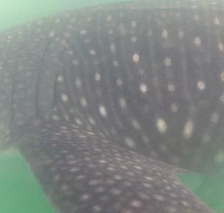 70d777c9-4ba2-485e-8e6c-590d3ea9fec9