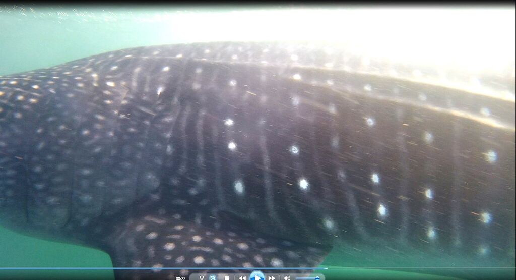 ea00539f-10b2-49df-b4d0-1198b252cb67