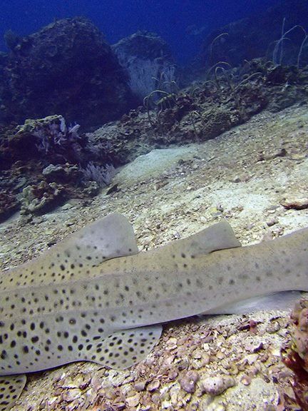 7172075a-cf42-41c5-bcdb-d5c943f6e64b