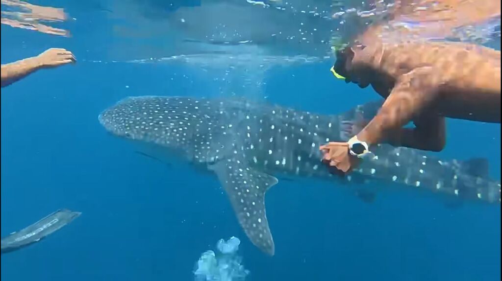 cadbad2e-9979-42b5-97b8-e2e2250b935b