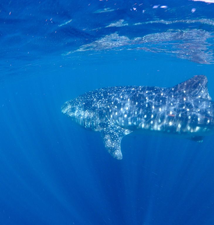 f54fd2ee-b358-4e82-94f1-0ebdeb2434b8