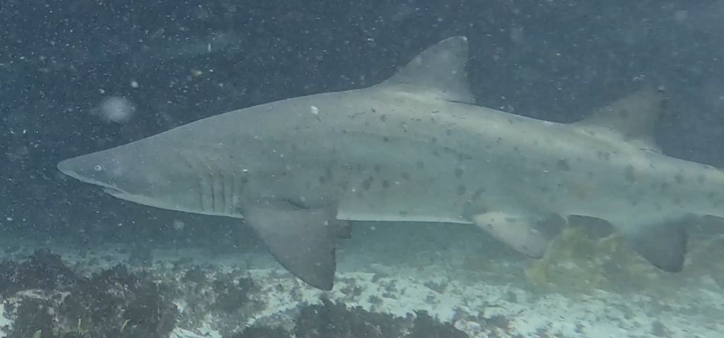 20c00121-df6b-45f5-95ad-09931d565cd6