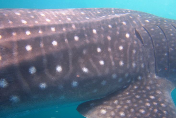 a5713e09-f747-4504-b58c-512b263e6f1f