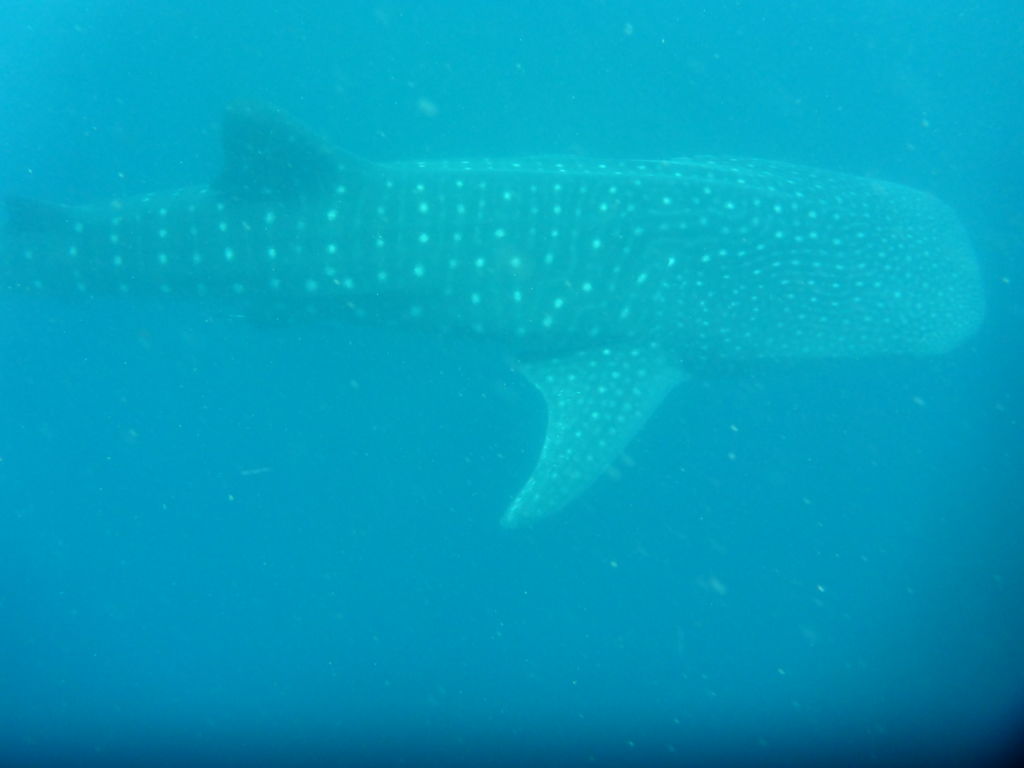 04d47922-ae75-4165-b020-2b55ef5a3581