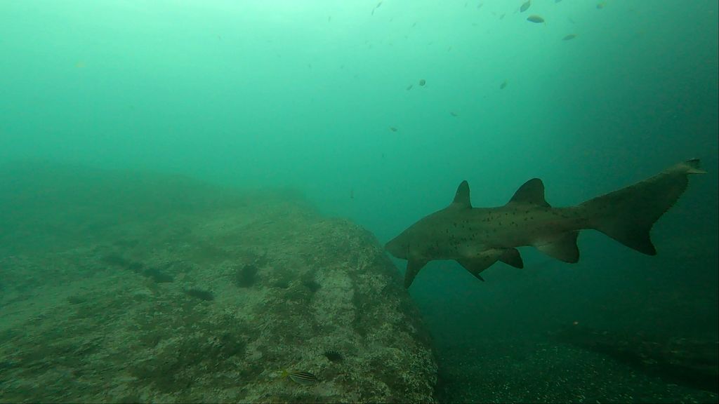 331ea0ad-4680-4daf-9a36-469f39e81e03