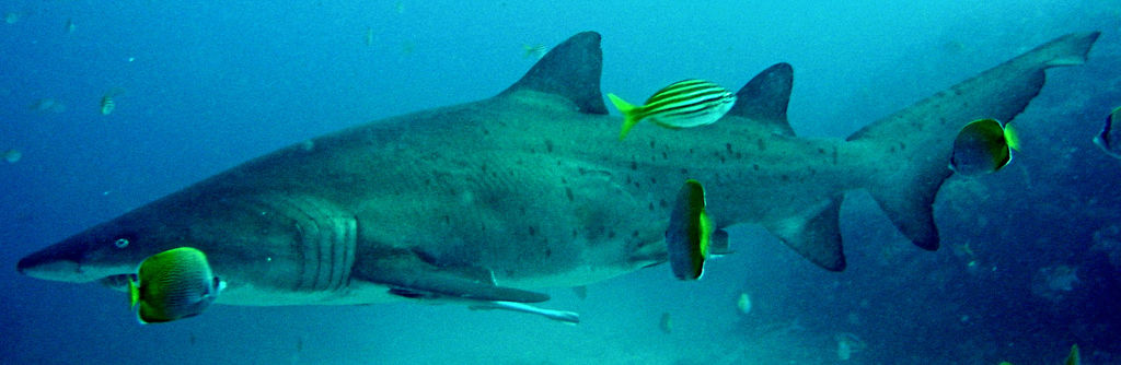 efbe63b0-2bad-4762-be81-f62e176f1eb4