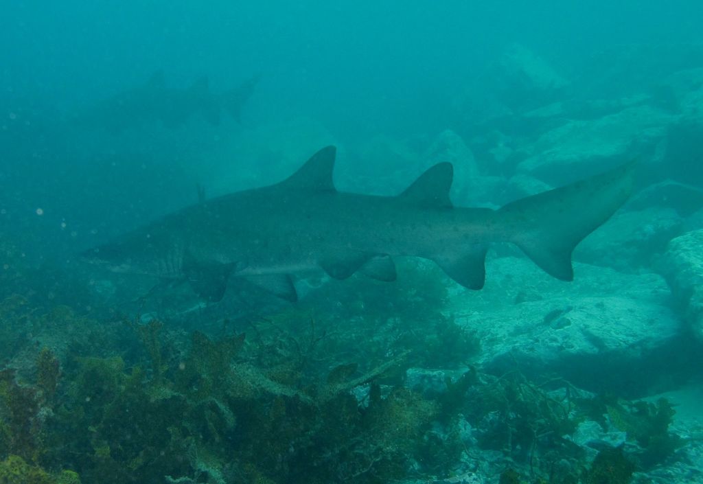 91b366ea-db18-4652-a51d-a6e5db32a668