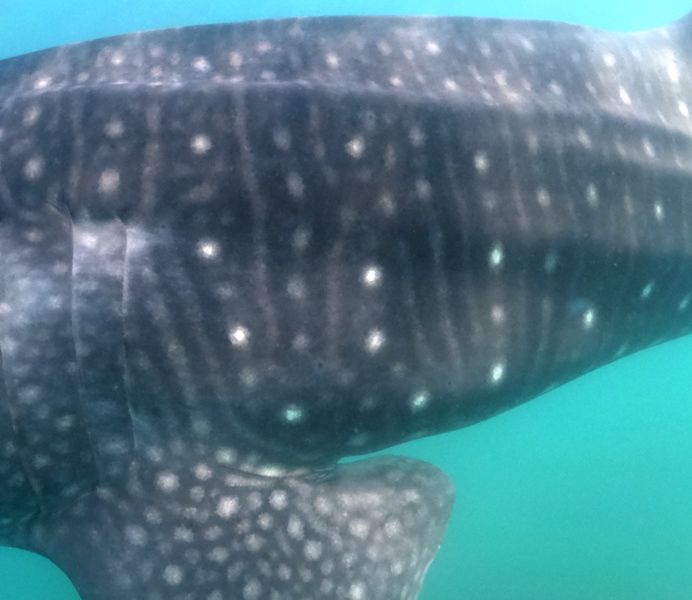 73df8336-f3b8-41e2-8041-9436f9cb783a