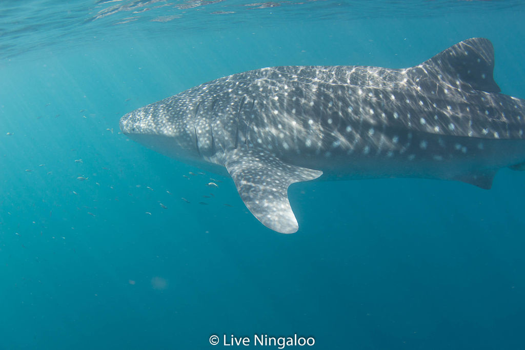 9a660287-64af-44b4-853b-397d7266b2fa